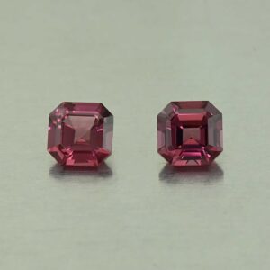 UmbaliteGarnet sq eme cut pair 5.0mm 1.51cts N ug863