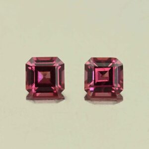 UmbaliteGarnet sq eme cut pair 5.0mm 1.60cts N ug1326