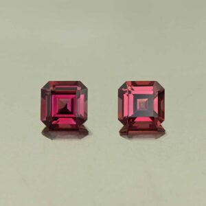 UmbaliteGarnet sq eme cut pair 5.0mm 1.62cts N ug1327