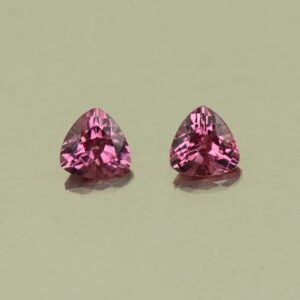 UmbaliteGarnet trill pair 4.5mm 0.79cts N ug1371