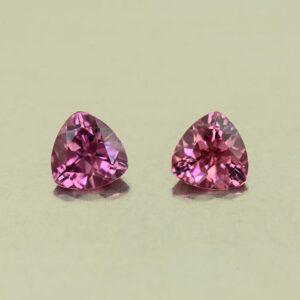 UmbaliteGarnet trill pair 5.0mm 1.00cts N ug1430 scaled 1