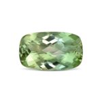 MintTourmaline ch cush 17.7x10.8mm 9.53cts N tm1633 sh