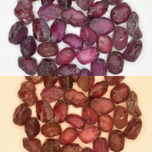 UmbaliteGarnet rough 1.0-2.5grs d combo